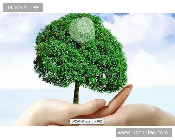 南京排球队心理素质排名第四解析其成功背后的心理训练秘诀